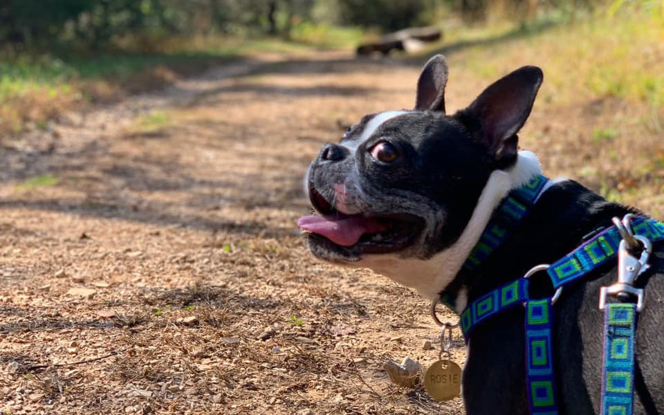 Not Every Hike Will Be Great...And That's Okay.