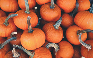 7 Tips to Keep Your Dog Safe this Halloween