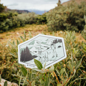 Flatirons Vista - Trails & Tails Sticker