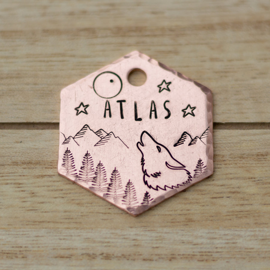 Rory- Simple Style - Copper Paws Dog Tags