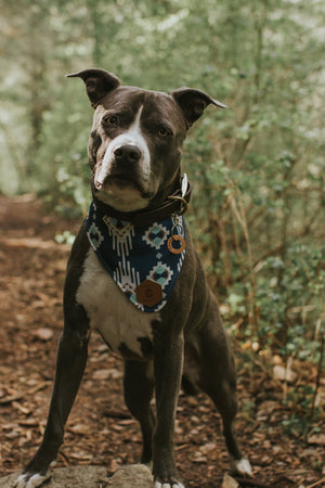 Washers- Simple Style - Copper Paws