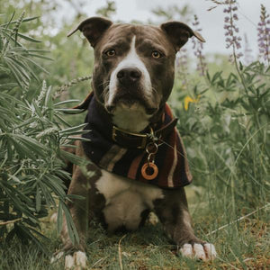 Washers- Simple Style - Copper Paws