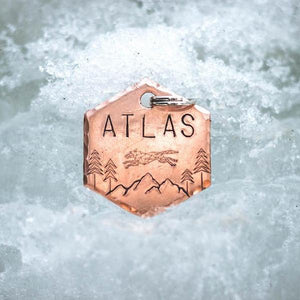 Alpha- Simple Style - Copper Paws
