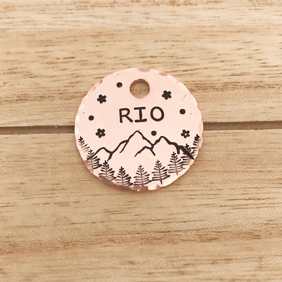 Orion- Kitty Tag - Copper Paws Dog Tags