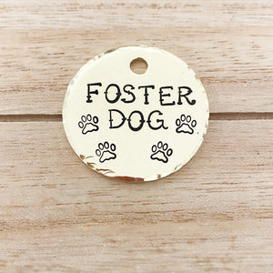 Foster Dog