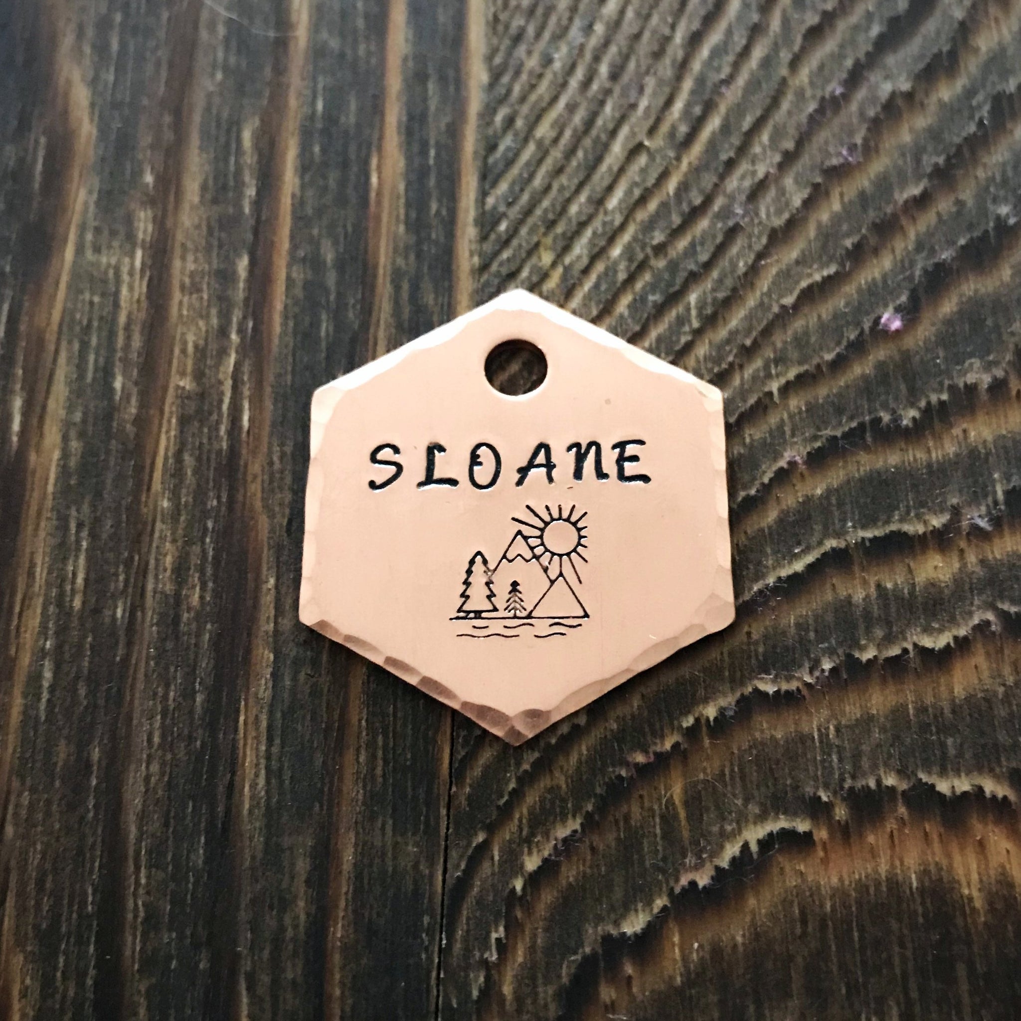 Shasta- Kitty Tag - Copper Paws