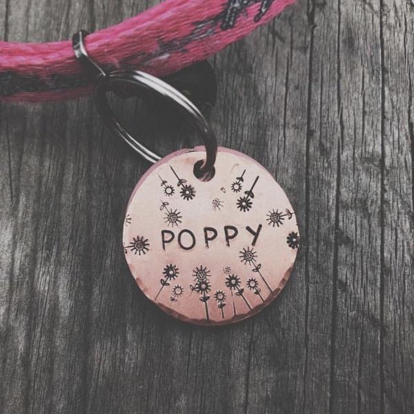 Frolic- Kitty Tag - Copper Paws