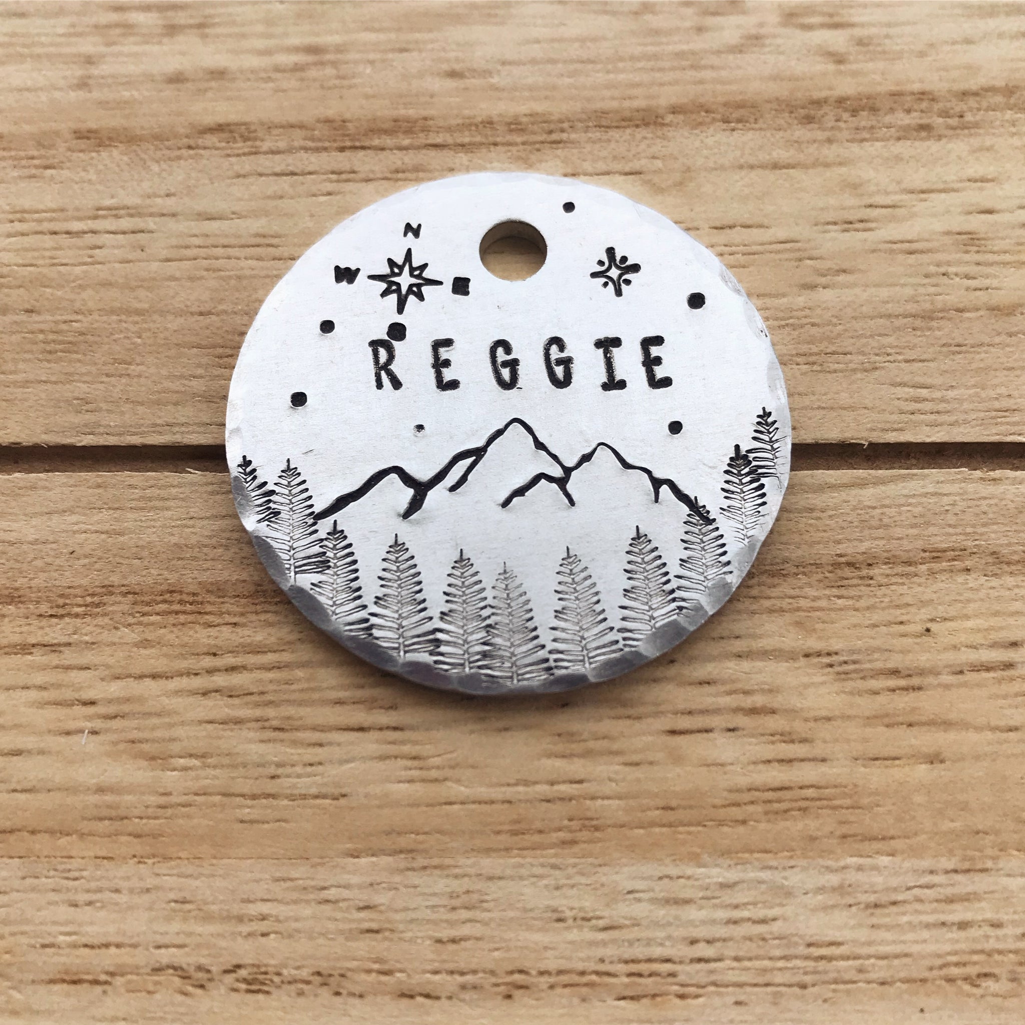 Orion- Simple Style - Copper Paws Dog Tags