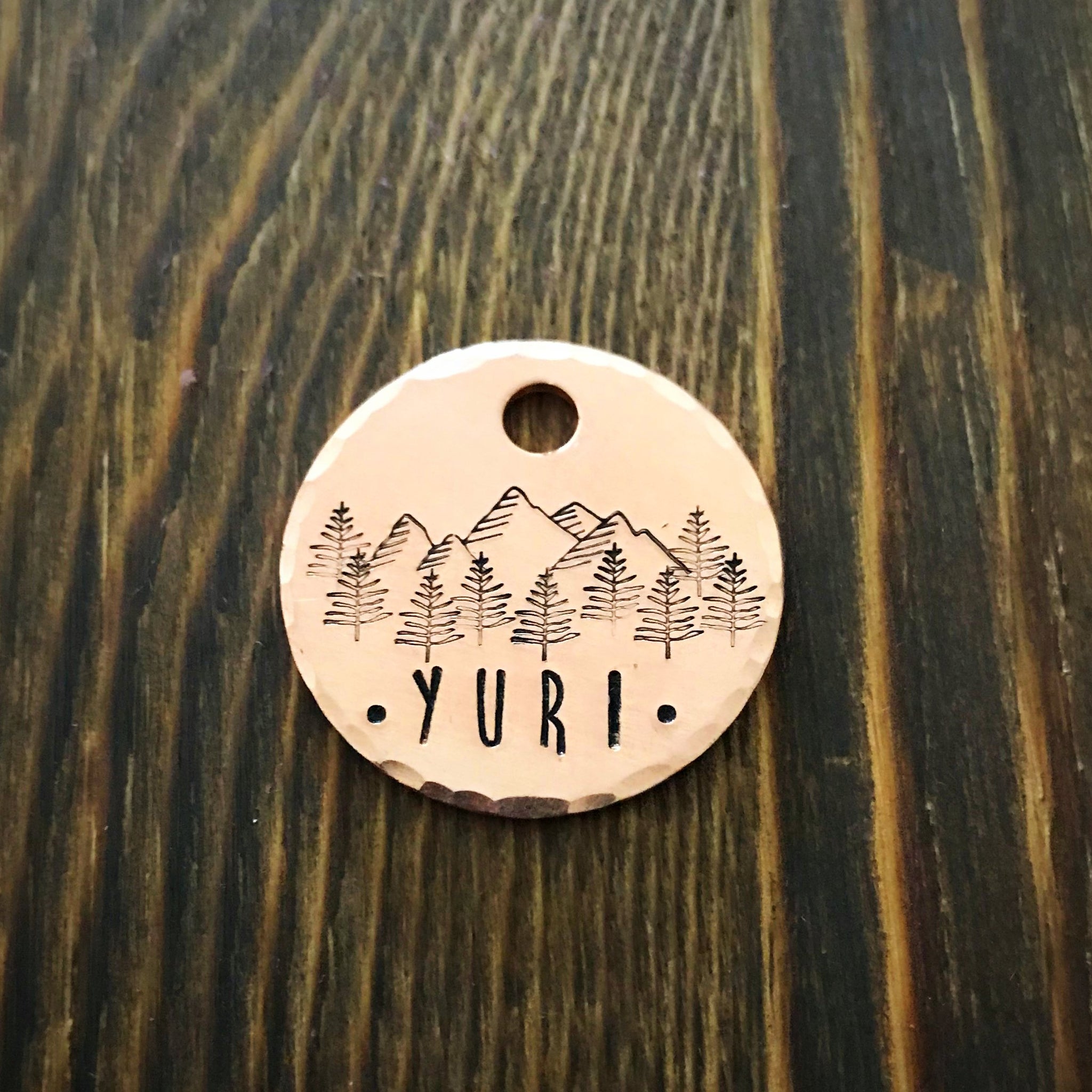 Brawley- Kitty Tag - Copper Paws