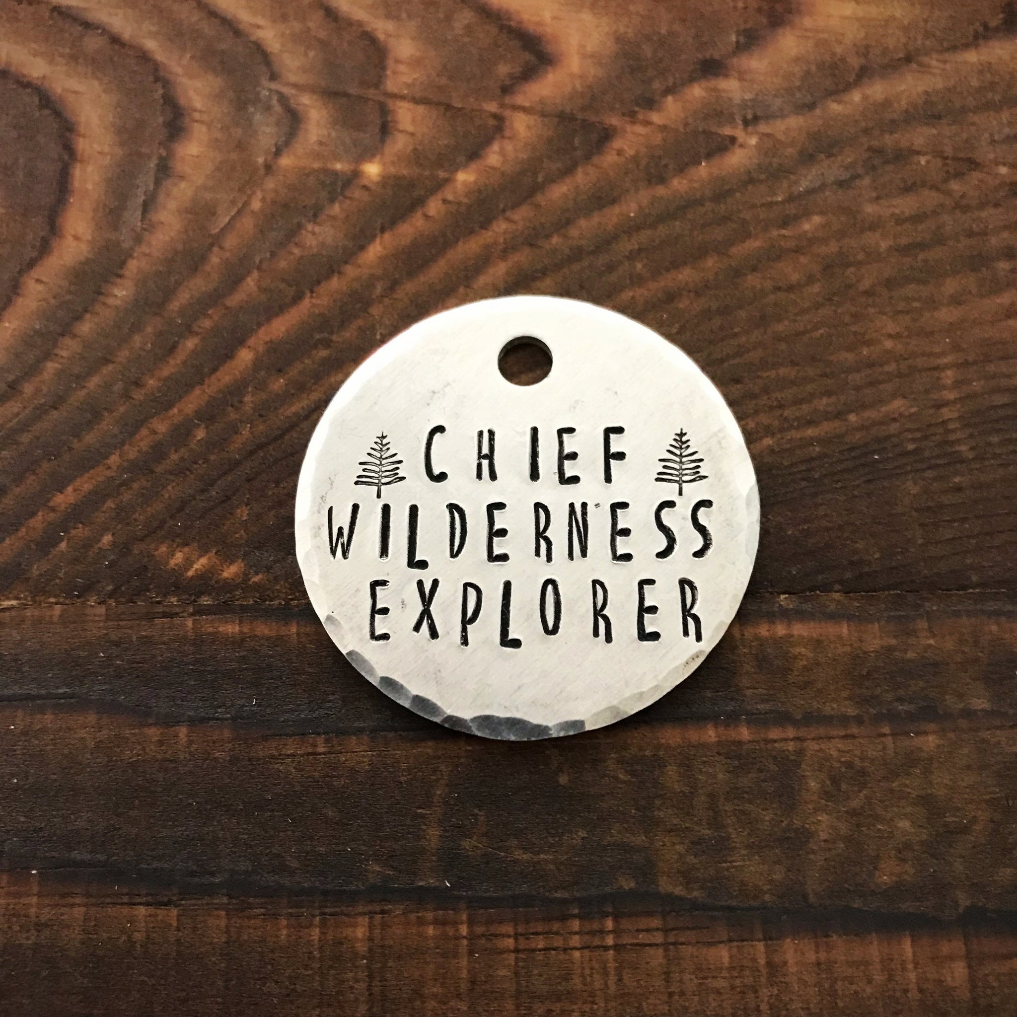 Chief Wilderness Explorer - Copper Paws