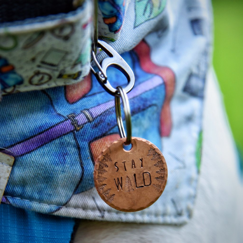 Stay Wild - Copper Paws