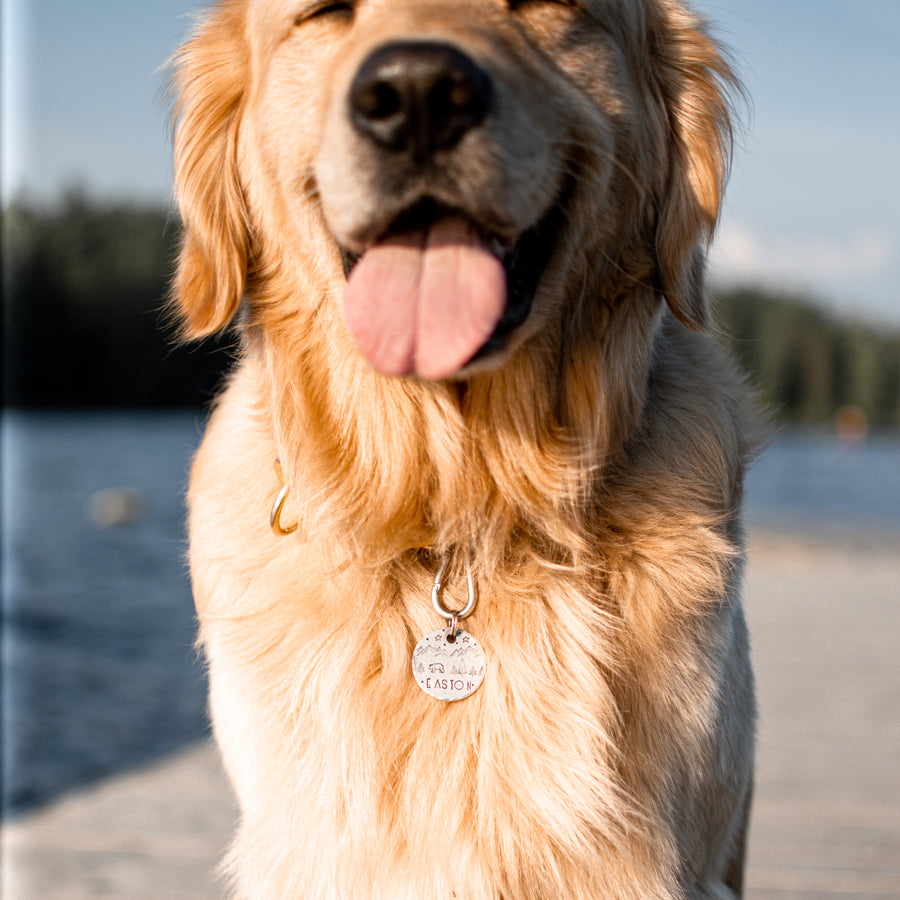 Bodhi- Simple Style - Copper Paws Dog Tags